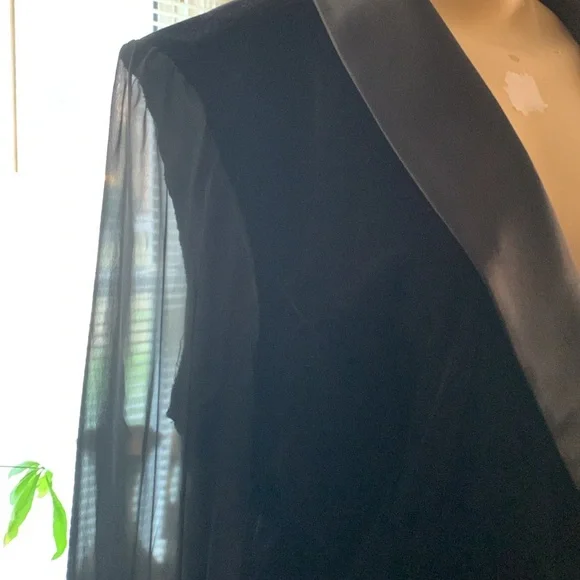 Velveteen Sheer top - Picture 2 of 4